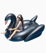Black Swan Floaties 3