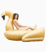 Gold Swan Floaties