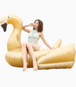 Gold Swan Floaties 2