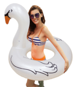 White Swan Floaties