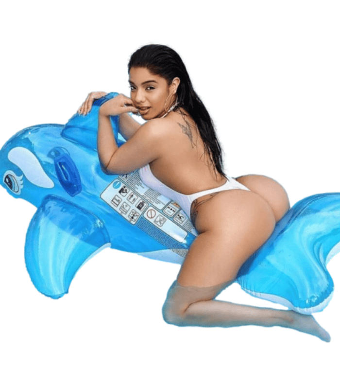 Dolphin Floaties 2 Dolphin Floaties 2