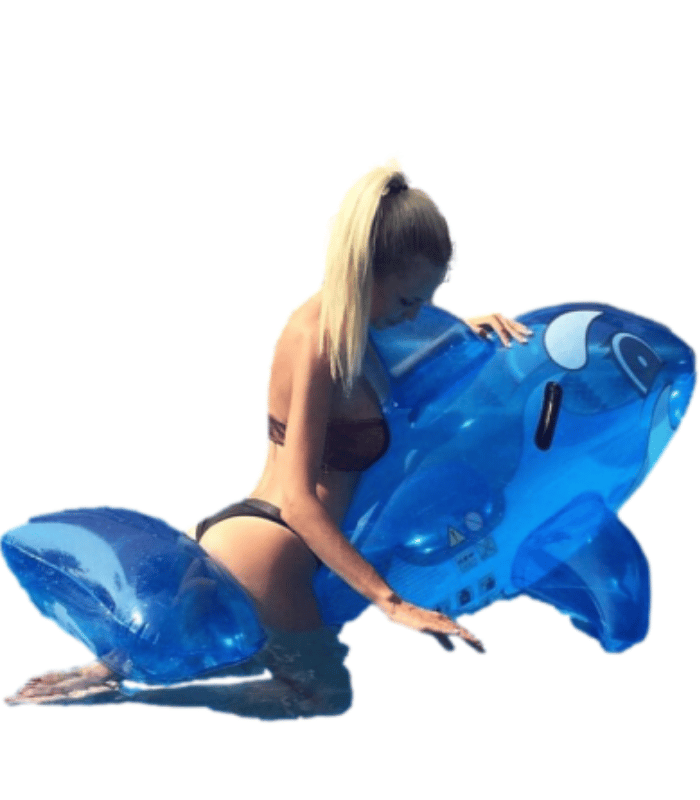 Dolphin Floaties 4 Dolphin Floaties 4